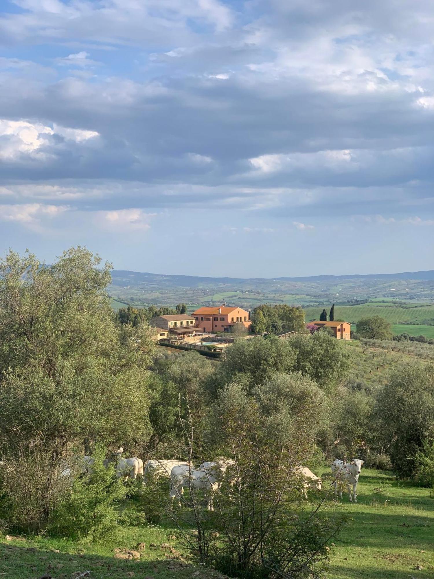 Fattoria Tolomei Campagnatico Exteriér fotografie