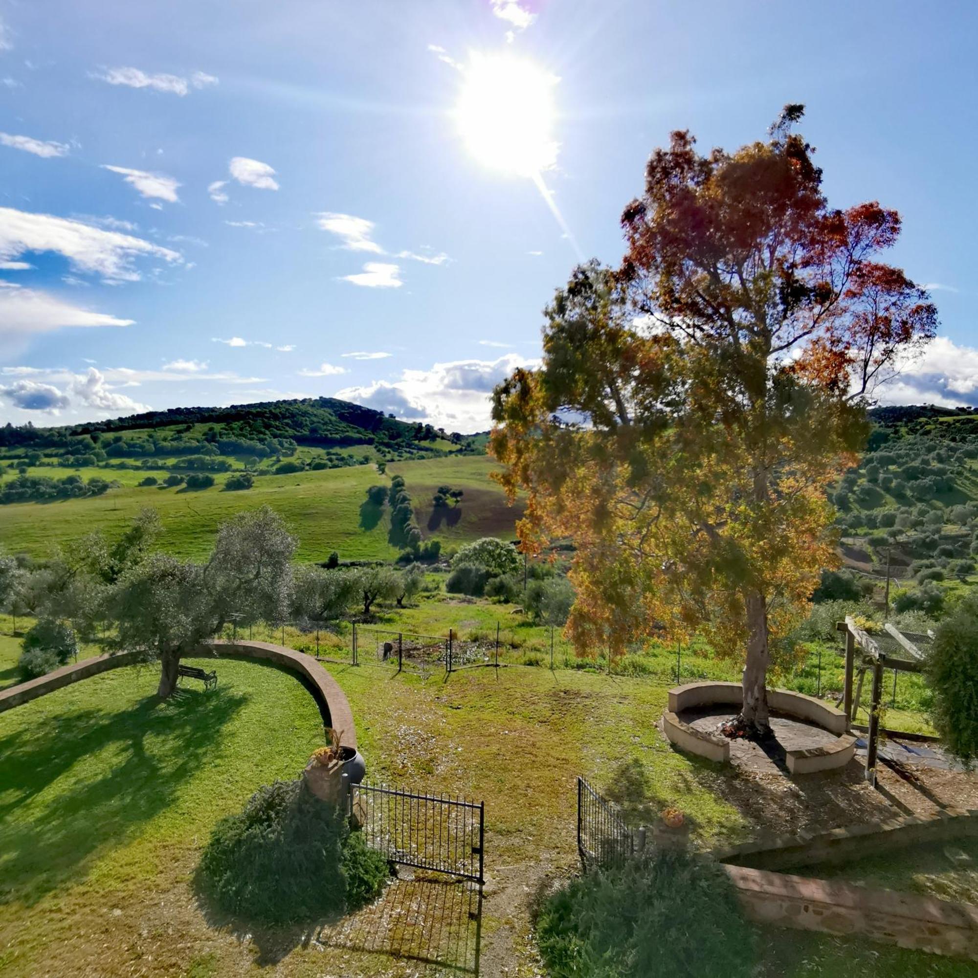 Fattoria Tolomei Campagnatico Exteriér fotografie